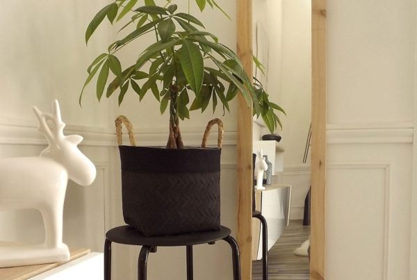 Décoration scandinave avec un miroir en bois brut, une plante et une statuette