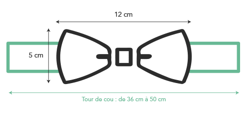 Schéma correspondant à la taille du noeud papillon bois homme : 12 cm de large et 5 cm de hauteur